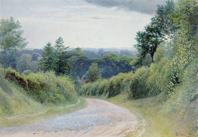 Un chemin du Warwickshire - Thomas Clack